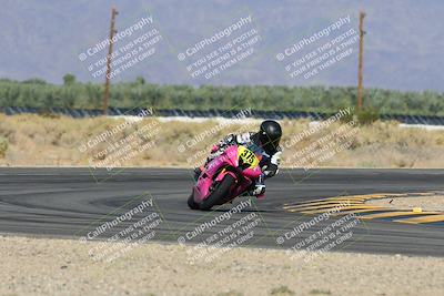 media/Oct-20-2024-CVMA (Sun) [[d4a3dff211]]/Race 3-Amateur Supersport Middleweight/